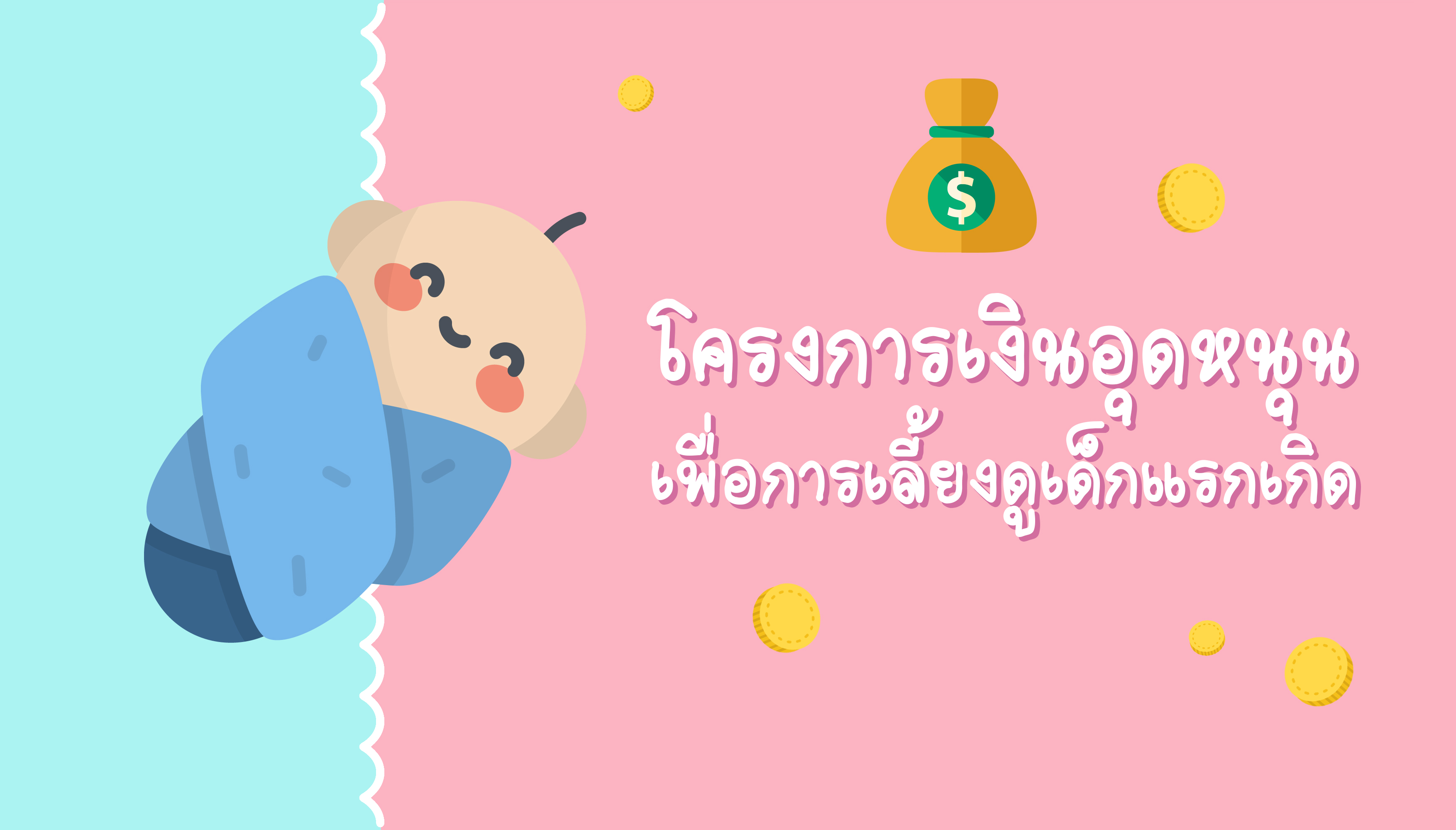 โครงการเงินอุดหนุนเพื่อการเลี้ยงดูเด็กแรกเกิด